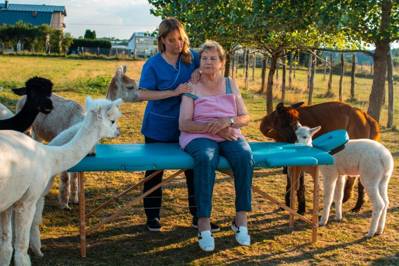 Вилла Alpaka-Ranczo Aff Пулавы Экстерьер фото